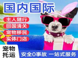 贡嘎机场快递国际宠物托运 【国